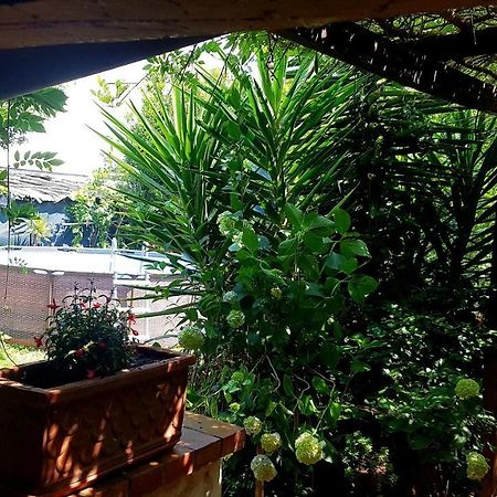 Casa Maya Con Giardino Privato Torre del Lago Puccini Bagian luar foto